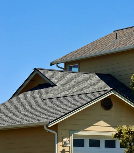 Best Roof Maintenance and Cleaning  in Mendota Heights, MN